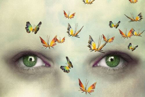 yeux-2704559242