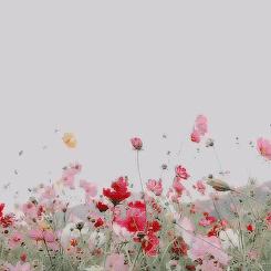 gif-fleurs-1