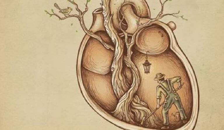 labrador-limpiando-un-corazon-1-768x446