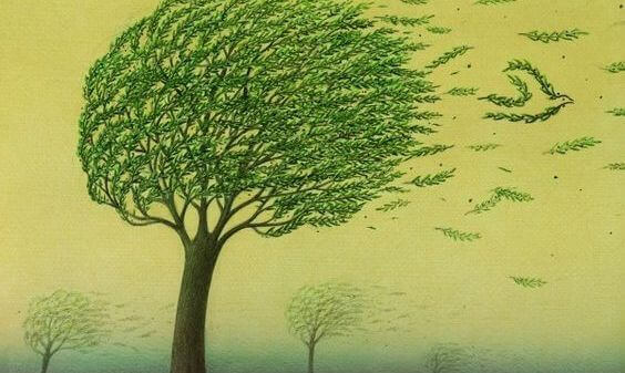 arbre