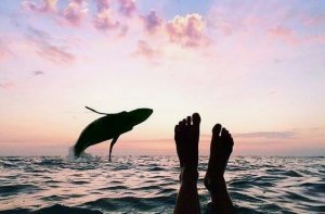 Les moments plein de passion ne s'affichent pas sur une montre