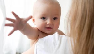 L'expérience de Harlow et sa théorie de l'attachement