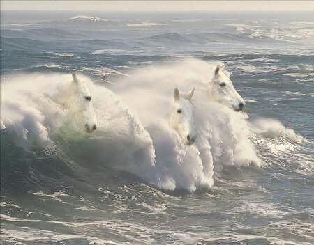 caballos-mar