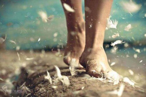 caminar-pies-y-plumas