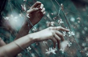 Vivez lentement si vous voulez vraiment vivre