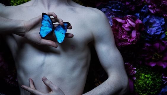 homme-papillons