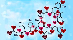 Savez-vous comment agit l'hormone des câlins ?