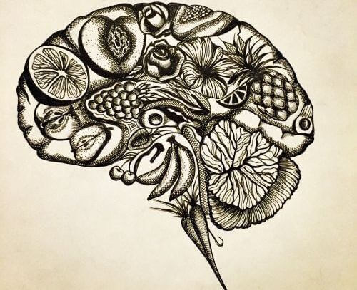 cerebro
