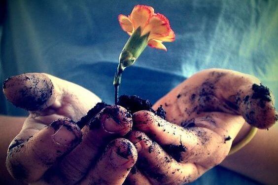 manos-con-flores