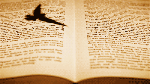 tumblr_n67ol95alt1sw9s79o1_500