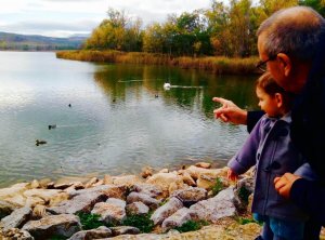 Les merveilleux grands-parents 3.0
