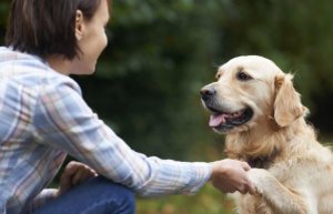 Savez-vous comment les chiens reconnaissent nos visages ?