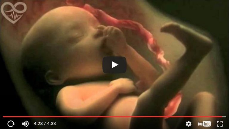 9 mois de grossesse dans une merveilleuse vidéo de 4 minutes