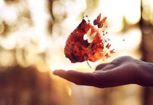 Dans la vie, il y a un temps pour poser les questions, et un temps pour trouver les réponses