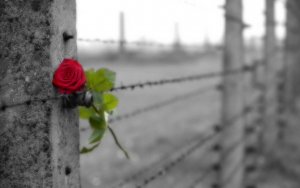 Le deuil est un adieu plein d'amour