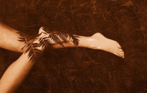 La fougère et le bambou, la fable de l'espoir