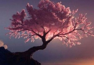 Les arbres guérisseurs, selon le Tao