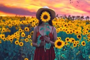 Voici ce qui nous rend heureux-ses : une étude de 76 ans