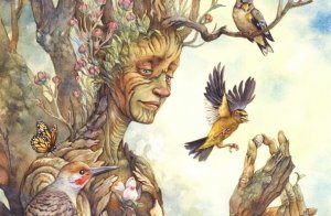Qu'apprendre des arbres pour atteindre le bonheur ?