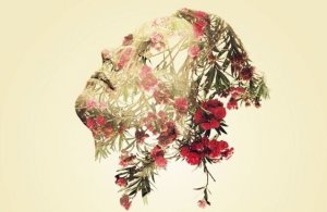 3 étapes pour atteindre la sagesse émotionnelle