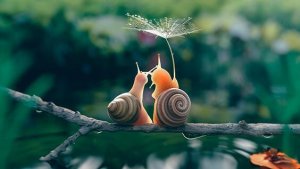 Les tendances slow : mieux vaut aller plus lentement...