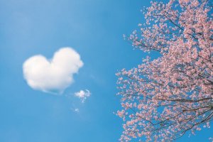 5 proverbes chinois sur l'amour