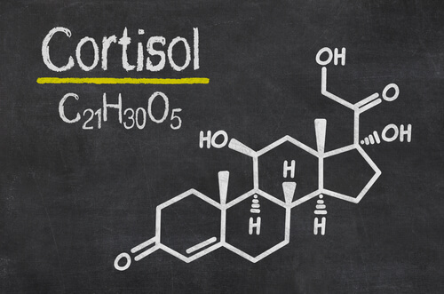 Le cortisol, l’hormone du stress