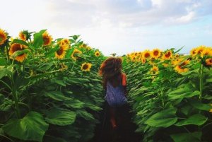 5 moments uniques que personne ne peut oublier