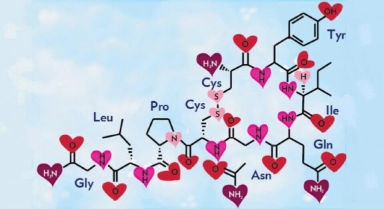 L'ocytocine, l'hormone de l'amour et du bonheur