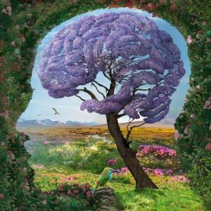 Qu’est-ce que le système limbique et comment fonctionne-t-il ?