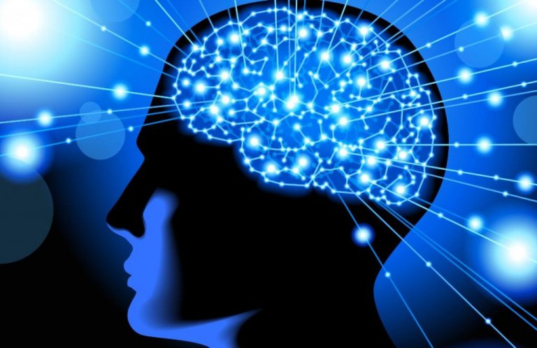 Les neurosciences, un moyen de comprendre le comportement de l'esprit