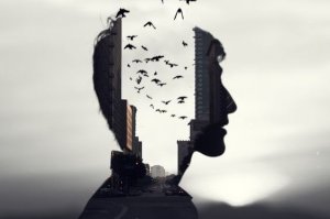 La mémoire sélective : pourquoi nous souvenons-nous uniquement de ce qui nous importe ?