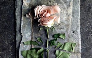 La violence passive : blessures profondes qui semblent superficielles