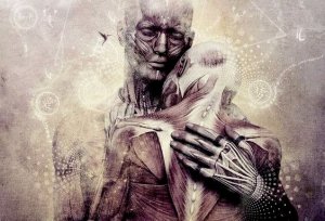 Les amours à l'âge mûr : des âmes automnales qui se connectent