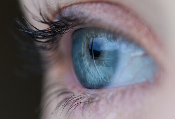 oeil pour apprécier les détails précieux de la vie