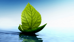 La relaxation de Jacobson, une méthode simple pour réduire votre stress