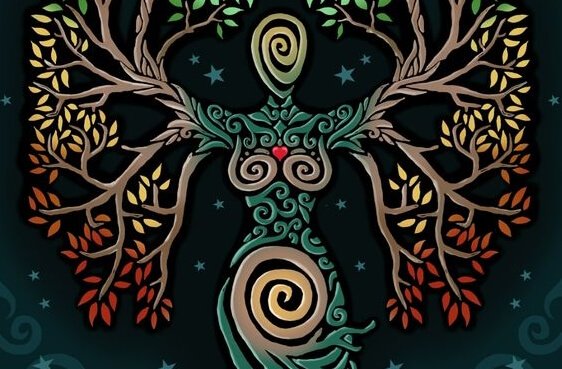 visualisation de l'arbre pour être en harmonie