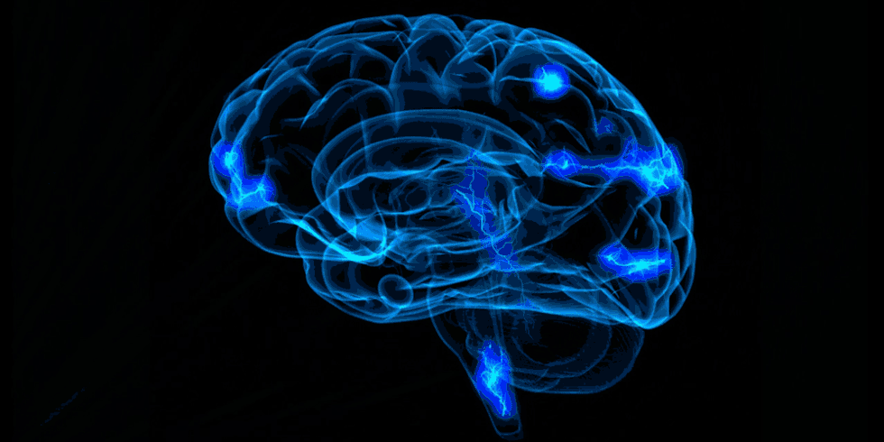 cerveau
