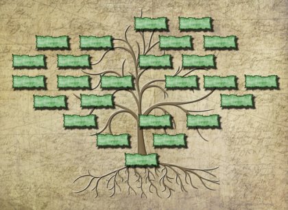 contenu arbre généalogique