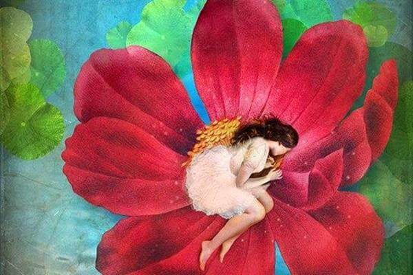 femme qui dort dans une fleur