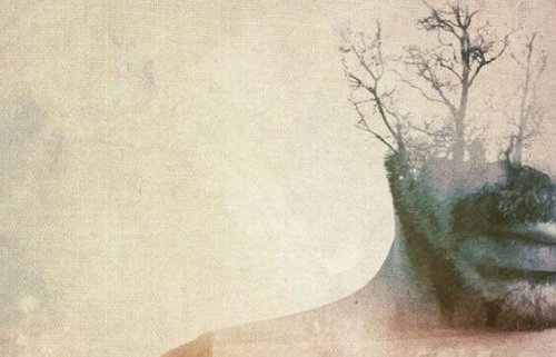 visage d'homme avec des arbres