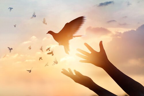 oiseaux qui s'envolent