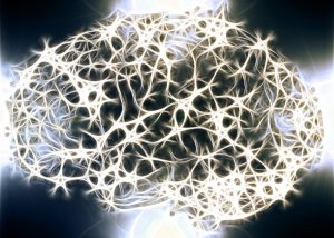 Savez-vous pourquoi la substance blanche de notre système nerveux est si importante ?