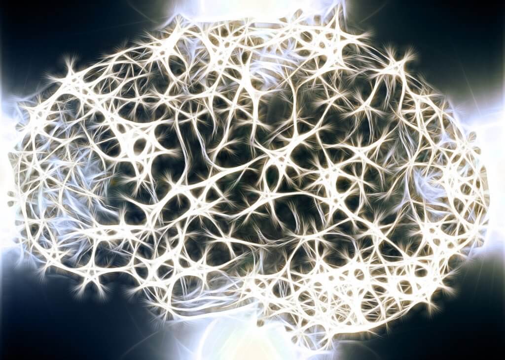 Savez-vous pourquoi la substance blanche de notre système nerveux est si importante ?