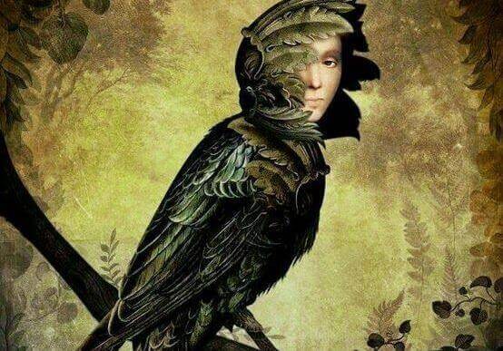 femme oiseau