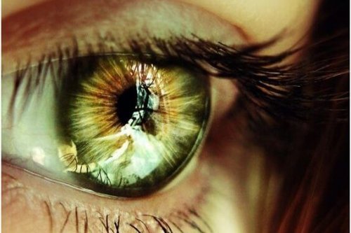 oeil vert