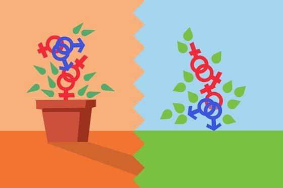 symboles hommes femmes