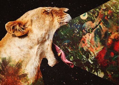 tigre et nature