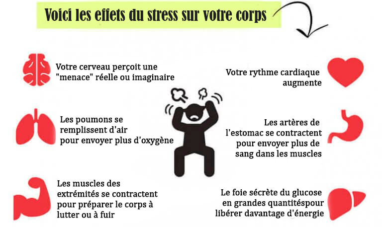 effets du stress sur le corps