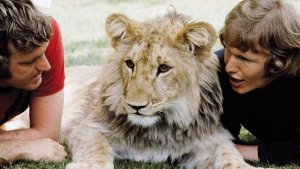 La tendre histoire de Christian, le lion